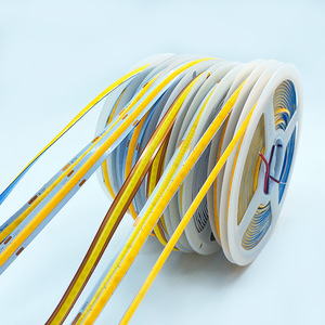 Cob Led Strip 5v 12v 24v Ws2812B Remote Control Flexible Self Adhesive Indoor Outdoor <b>Lighting</b> Shenzhen Made - Product Image 1