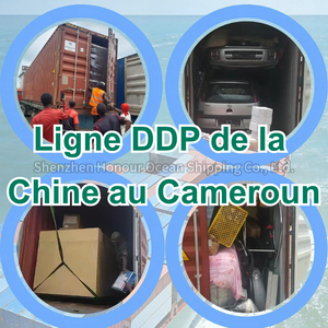 Transporteur Lcl Express Agent de transport de marchandises sensibles Transitaire Chine Cameroun Expédier au Cameroun - Product Image 2