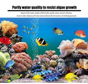 Filtre d'aquarium, support céramique biochimique, média pour bactéries nitrifiantes, accessoires pour aquarium, nettoyage de l'eau de l'aquarium - Product Image 2