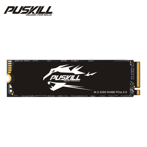 โปรแกรมเล่นเกม puskill ผู้ผลิตโดยตรงอัปเกรด NVMe M.2 2280 PCIE3.0 SSD 1TB สำหรับพีซีและแล็ปท็อป