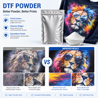 Poudre DTF TPU Premium pour l'impression textile, compatible avec le film d'encre et le shaker à poudre, vente en gros en vrac