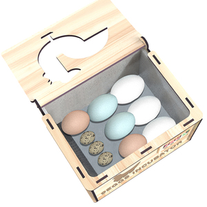 WONEGG Incubateur Automatique Électrique Double Alimentation pour 9 Œufs, à Faible Consommation - Product Image 5