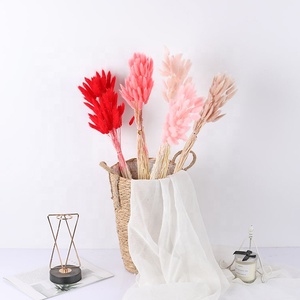 Nuevas Ideas de productos <span class=keywords><strong>2023</strong></span> jarrón de hierba de cola de <span class=keywords><strong>conejo</strong></span> seco arreglo de flores secas hierba de cola de <span class=keywords><strong>conejo</strong></span> para decoración del hogar - Product Image 6