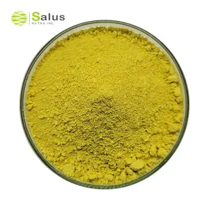 SALUS Wholesale Pure KaempferolパウダーKaempferol 98%