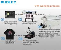 Impresora DTF Audley de 60 cm I3200 para prendas de vestir, máquina popular para pequeños negocios en casa, horno para agitar polvo, capaz de imprimir en dimensiones A3, A4 y A1