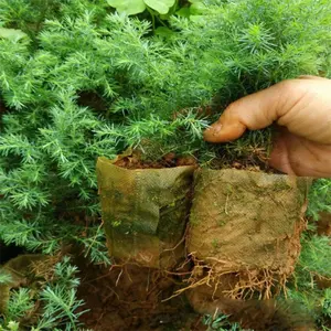 Bolsa de cultivo no tejida, macetas biodegradables para vivero para plantas, color blanco