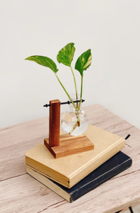 <span class=keywords><strong>Vaso</strong></span> di propagazione delle <span class=keywords><strong>piante</strong></span> giardinaggio fioriera Set idroponico pianta d'<span class=keywords><strong>appartamento</strong></span> Stand unico <span class=keywords><strong>vaso</strong></span> - Product Image 4