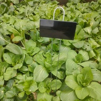 Étiquettes de plantes en métal noir avec piquet en T pour l'identification des fleurs en pot, des semis et des plantes de pelouse en extérieur