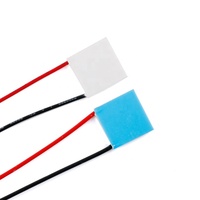 TEC1-04901 04902 04903 04905 04906 refroidisseur thermo électrique Peltier 40*40MM 12V 5V Module d'élément Peltier