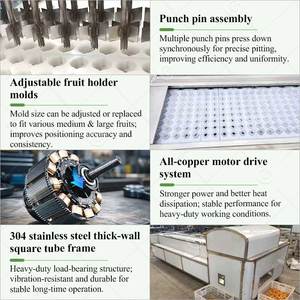 Máquina Semiautomática para Deshuesar, Pelar y Separar Semillas de Frutas Frescas como Lichi, Cereza y Albaricoque, Fabricada en China - Product Image 4