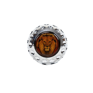 Canne décorative minimaliste en argent avec tête de lion, ton froid, démontable, pour gentleman - Product Image 3