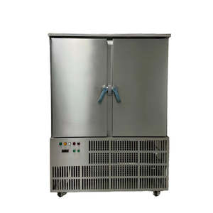 ตู้แช่แข็งแนวตั้งอัตโนมัติ 220V/380V ควบคุมอุณหภูมิ -45 องศาเซลเซียส ถึง 0 องศาเซลเซียส คอมเพรสเซอร์ น้ำยาทำความเย็น R-404A รับประกัน 1 ปี - Product Image 3