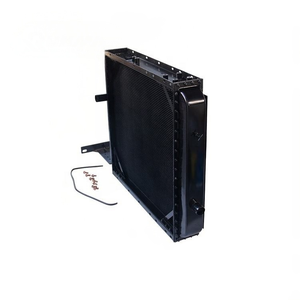 Filtro de Combustible de Fábrica 4110003073003 60100008289 612600081294 5651155 para Cargadora de Ruedas de Construcción - Product Image 2