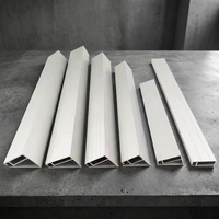 Perfil de Extrusión de Grado Industrial MW-Scale, Hecho a Medida para Sistemas de Montaje Solar