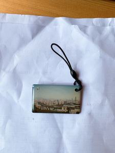 Tùy chỉnh in mã <span class=keywords><strong>QR</strong></span> Keychain URL và <span class=keywords><strong>RFID</strong></span> epoxy NFC Pet ID <span class=keywords><strong>Tag</strong></span> 125Khz Mini tần số <span class=keywords><strong>tag</strong></span> lập trình - Product Image 3