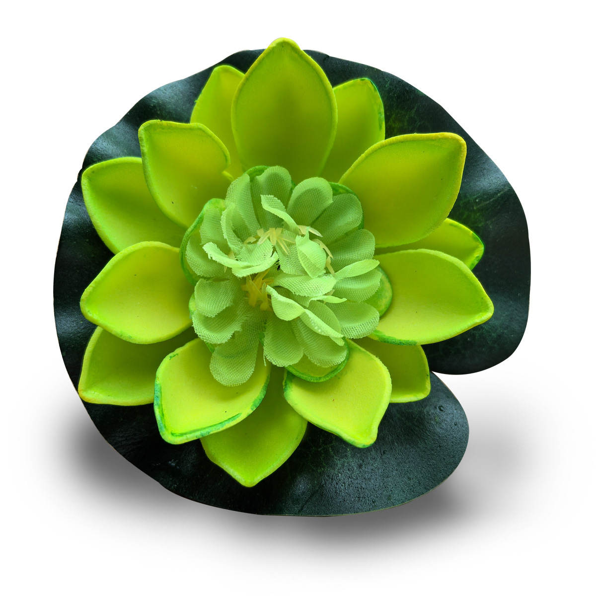 10cm full open green