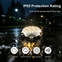 Source de lumière ponctuelle à 5 têtes, lampe décorative extérieure colorée, source de lumière LED à pixels