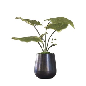 New Free Standing Tableware Planter and Flower Pot <b>Table</b> Decoration <b>Small</b> in Size American Office <b>Table</b> Decoration Planter Bowl - Product Image 1
