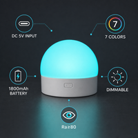 Mini lampe dôme RGB rechargeable, tactile, à intensité variable, 7 couleurs, USB-C, 1800 mAh, pour chambre à coucher, enfants, décoration intérieure, lumière d'ambiance