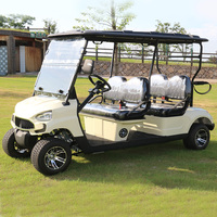 Moteur à courant alternatif électrique du chariot de golf 48v de buggy de golf de siège de l'aéroport chinois 4 avec le mètre professionnel