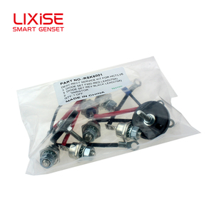 <span class=keywords><strong>Rsk6001</strong></span> 3 giai đoạn Diode CHỈNH LƯU điốt điện áp cao Diode Cầu chỉnh lưu cho phát điện - Product Image 5