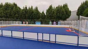 Valla <span class=keywords><strong>de</strong></span> Protección para Hockey sobre Patines y <span class=keywords><strong>Floorball</strong></span>, Reja <span class=keywords><strong>de</strong></span> Seguridad, Barandilla, Muro <span class=keywords><strong>de</strong></span> Protección, Tubo Galvanizado en Caliente + Placa <span class=keywords><strong>de</strong></span> PE 101/120CM*200CM - Product Image 4