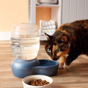 <b>Dog</b> Water Bowl No Spill Large Capacity <b>Slow</b> <b>Feeder</b> Pet Water Dispenser for <b>Dogs</b> Water Bowl - Product Image 6