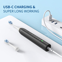 Échantillon gratuit Brosse à dents électrique sonique de voyage étanche de haute qualité pour adultes à piles