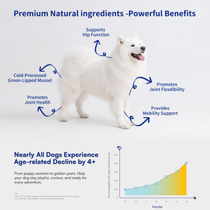 Complément alimentaire en poudre pour les articulations des chiens et des chats Pet Life |   Vitamine E |   Soutien de la mobilité avancée, absorption sûre et rapide pour tous les âges - Product Image 5