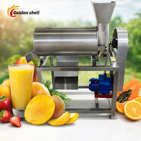 Hoge Kwaliteit Fruitpers Mango's Passievrucht Guave Bosbes Nieuwe Aanwinst Fruit- en Groentepers en Verfijner
