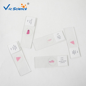 Productos Recomendados: Portaobjetos de Tejido Normal Médico de Hospitales Universitarios e Institutos de Investigación; 100 Tipos de Biológicos - Product Image 4