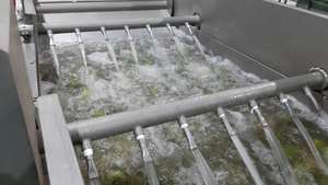 Chất Lượng Cao Tùy Chỉnh Trái Cây Máy Chế Biến Mới Ổi Nước Trái Cây Dây Chuyền Chế Biến Guayaba/Jambu Biji Nhà Máy Sản Xuất SUS304/316 - Product Image 4