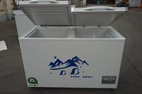 Congélateur vitrine à dégivrage manuel avec porte coulissante 600L pour la préparation des aliments