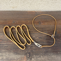 Laisse de dressage pour chien tout-en-un de type P, anti-étranglement et anti-traction, corde de promenade ergonomique pour chiots, chiens de taille moyenne et grande