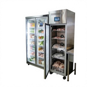 Armoire de décongélation automatique à air forcé en acier inoxydable, haute productivité, écologique, garantie <span class=keywords><strong>1</strong></span> an, pour fruits de mer et boucherie - Product Image 1