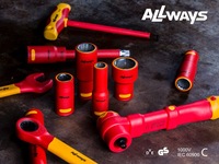 ALLWAYSTOOLS 1000v Clé à écrou isolée à poignée en T Outils à main professionnels VDE avec support OEM Système de mesure métrique