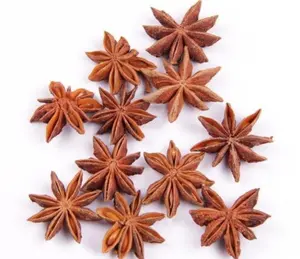wholesale natural star anise seeds ready to export single spices and herbs dried star anise