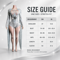Combinaison en strass effet miroir argenté, maille nude imprimée, manches longues à franges, costume de scène pour danse Gogo