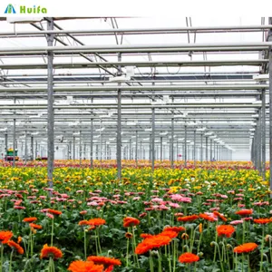 Estufa de vidro inteligente comercial multi-span Venlo, fornecedor de estufas de vidro para horticultura, estufas para flores