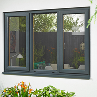 Ventana Corredera de Aluminio de Doble Acristalamiento con Marco de Aluminio Negro de Diseño Simple