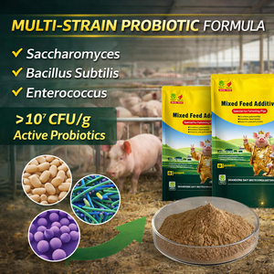 Probiótico de Alto Rendimiento para Engorde de Cerdos, Mejora la Tasa de Conversión de Alimento, Aumenta la <span class=keywords><strong>Porcentaje</strong></span> de Carne Magra, Mejora el Sabor de la Carne, Salud Intestinal - Product Image 4