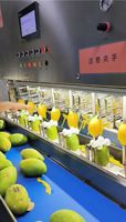 Nieuw ontwerp industriële grote schilmachine schillijnapparatuur Dragon fruit Mango schilmachine Vervangt 16 arbeiders