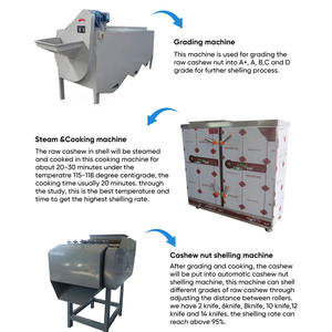 เครื่องจักรสายการผลิตเม็ดมะม่วงหิมพานต์อัตโนมัติ ยี่ห้อ Gashili พร้อม PLC และมอเตอร์เป็นส่วนประกอบหลัก รับประกัน 1 ปี - Product Image 4