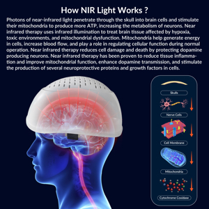 Casco de <span class=keywords><strong>Fisioterapia</strong></span> de Fotobiomodulación de 810nm con Certificación CE, Recomendado por Médicos, para el Tratamiento del Autismo, la Demencia y el Accidente Cerebrovascular - Product Image 3