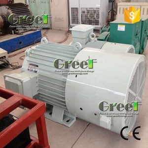 Alternador Magnético de Servicio Pesado de 50 KW IP54 para Parques Eólicos Costeros - Product Image 4