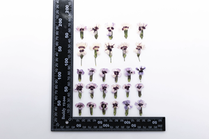 Bijoux en résine <span class=keywords><strong>rose</strong></span> arc-en-ciel avec pétales de fleurs naturelles pressées, écologiques - Product Image 3