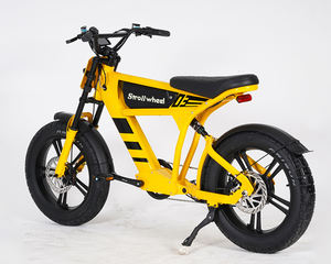 Duitsland Magazijn Voorraad Gratis Verzending 750W 48V Elektrische Fiets Elektrische Fietsen voor Volwassenen 2-Wiel Elektrische Fiets - Product Image 2