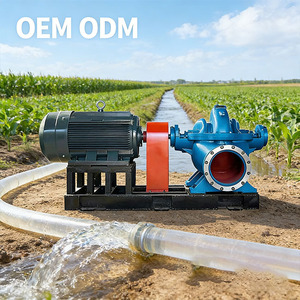 Single Stage High Pressure Double <b>Suction</b> <b>Pump</b> - SH Series Stainless Steel High Power Electric Industrial <b>Pump</b> - Product Image 2