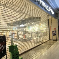 Porte de sécurité automatique en alliage moderne en PVC à l'aspect esthétique, anti-effraction, pour les devantures de magasins, les entrepôts, les hôpitaux