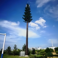 Camouflé Bionic Tree Acier Monopole Antenne Tour 4g 5g Wifi Signal Communication Pylône Télécommunication Tour Accessoire